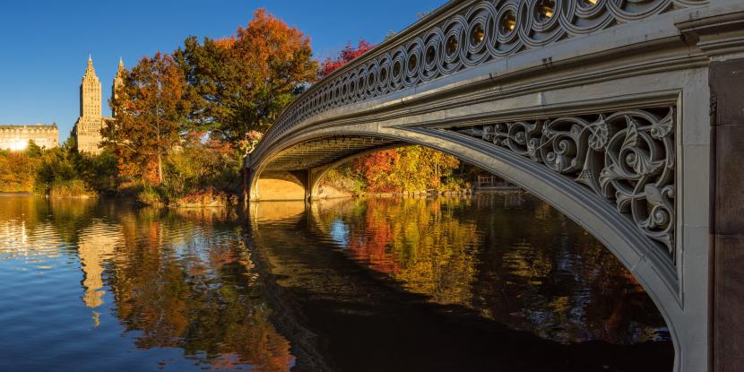 Image of Central Park Bow Bridge and water in fall