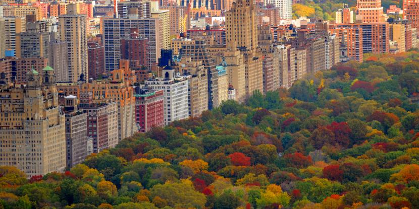 View of Central Park and the New York's upper west side in autumn